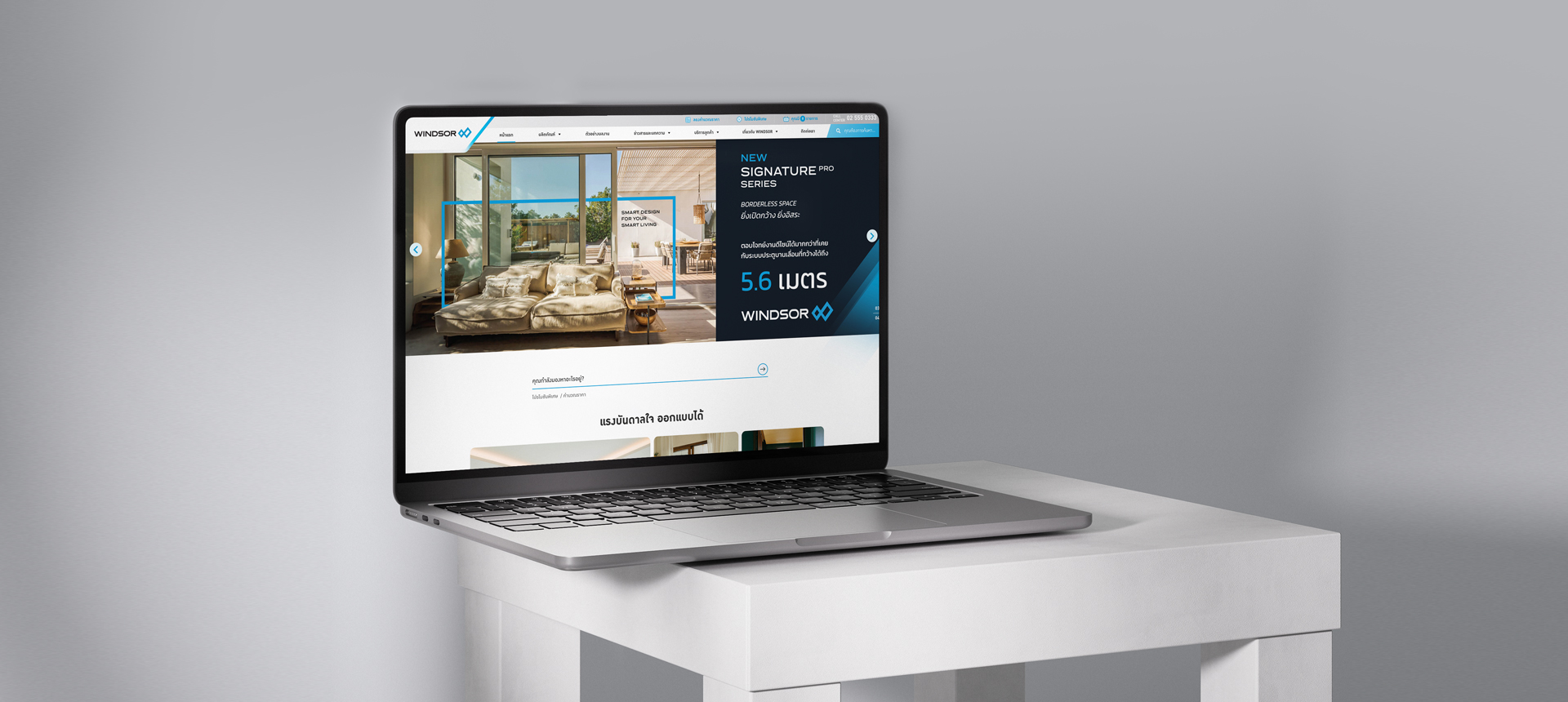 Work image - WINDSOR Website